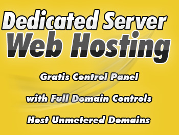Top dedicated server provider